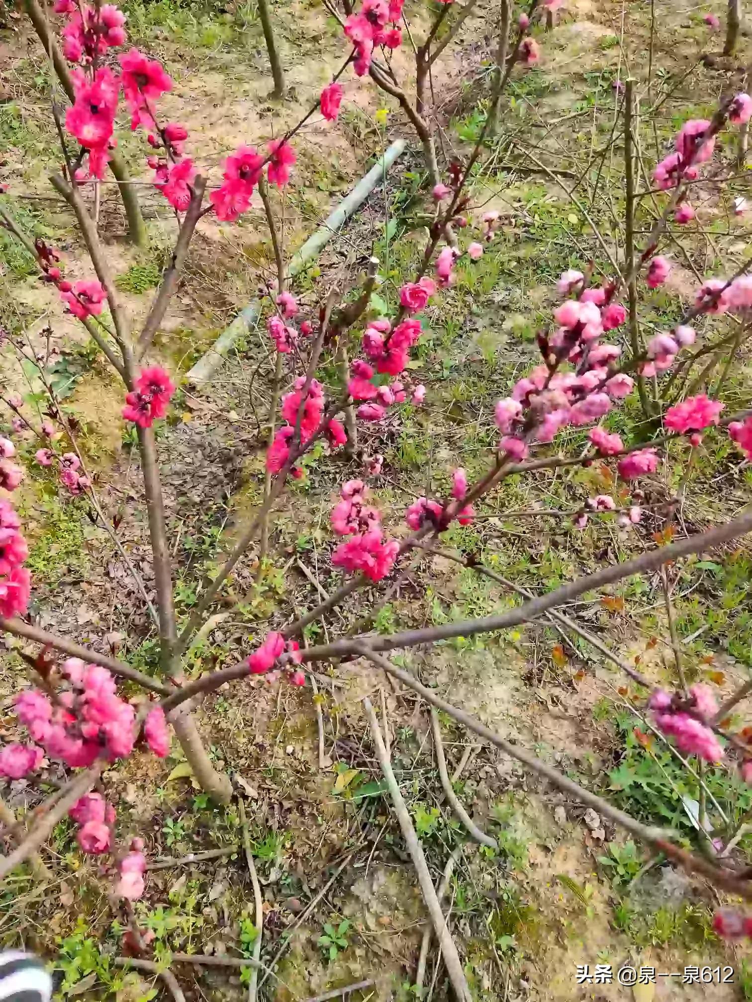 工厂办公区域装修效果图-戊类厂房可以设置办公区吗? 工厂办公区域装修效果图-戊类厂房可以设置办公区吗?