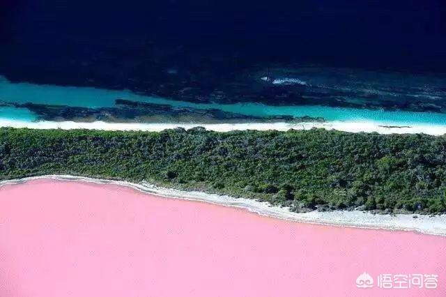 家装设计师联盟官网-如何开一家室内设计公司？