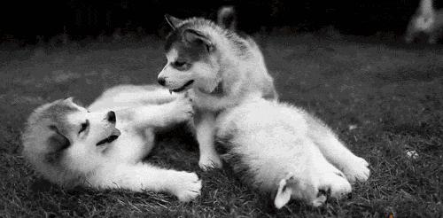 家装设计费用一般在总造价的多少-现在有两个工作可以选择，分别是造价和家装设计师，选哪个好？