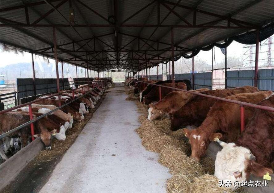 装修吊顶用什么材料最便宜-农村瓦房吊顶装修用什么材料比较好? 装修吊顶用什么材料最便宜-农村瓦房吊顶装修用什么材料比较好?