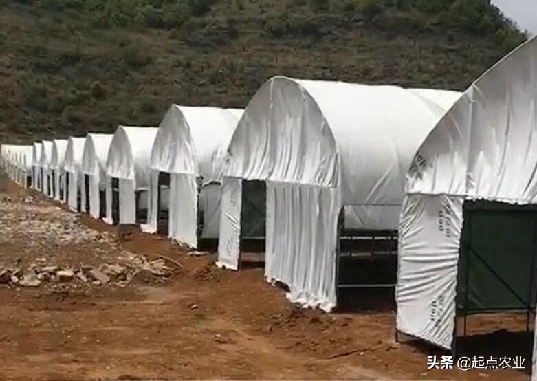 装修吊顶用什么材料最便宜-农村瓦房吊顶装修用什么材料比较好? 装修吊顶用什么材料最便宜-农村瓦房吊顶装修用什么材料比较好?