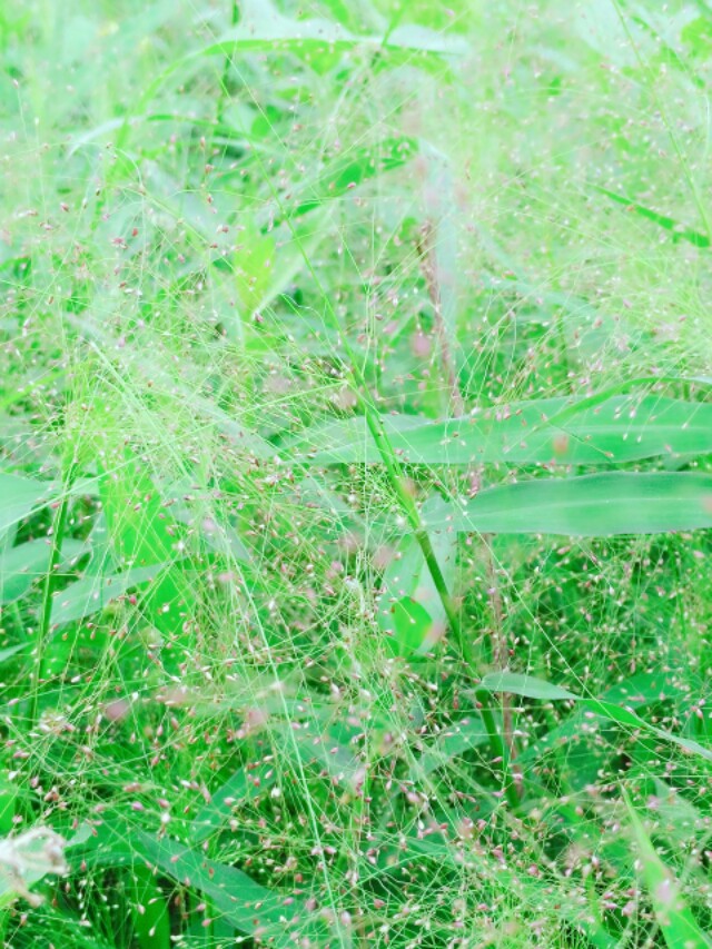 装修问答网-怎么找装修队？